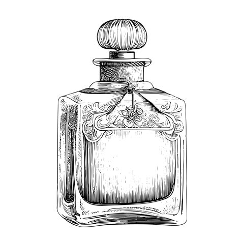 vintage perfume bottle drawing